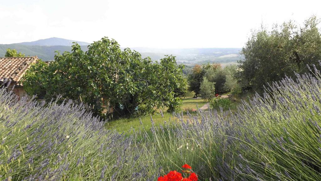 Casa Lorenzo Panicale Eksteriør billede